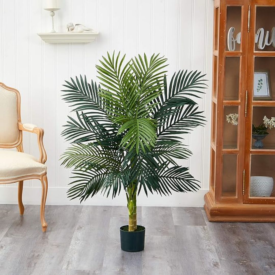 Golden Cane Palm & Dracaena Tree Set – UK Mart Online
