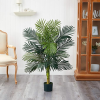 Golden Cane Palm & Dracaena Tree Set – UK Mart Online